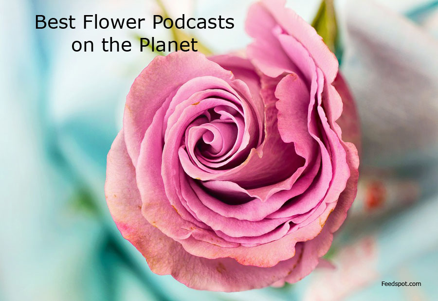 15 Best Flower Podcasts You Must Follow in 2023