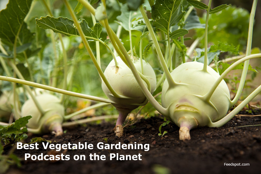 15 Best Vegetable Gardening Podcasts You Must Follow in 2023