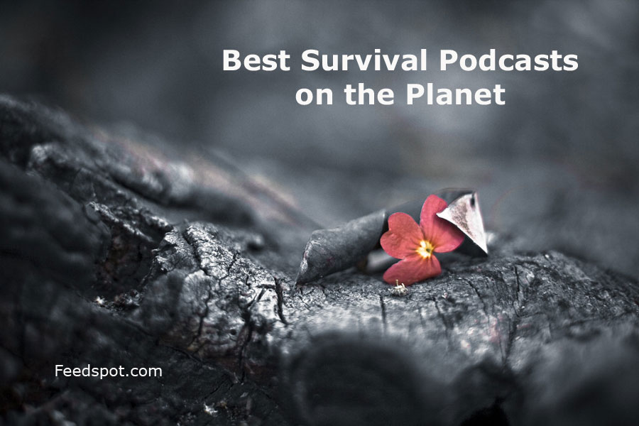 40 Best Survival Podcasts You Must Follow in 2024